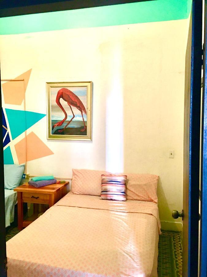 Medusa'S Hostel Агуадила Екстериор снимка